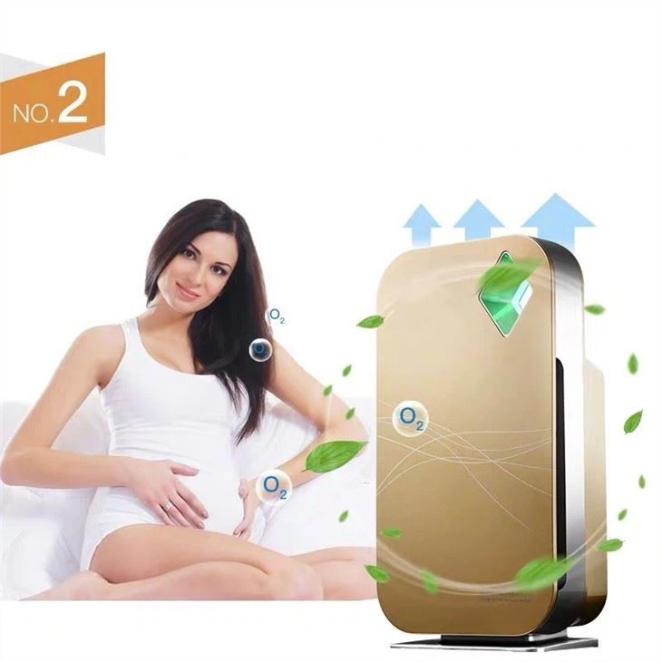 BK-01 Home HEPA Filter For Household Usage