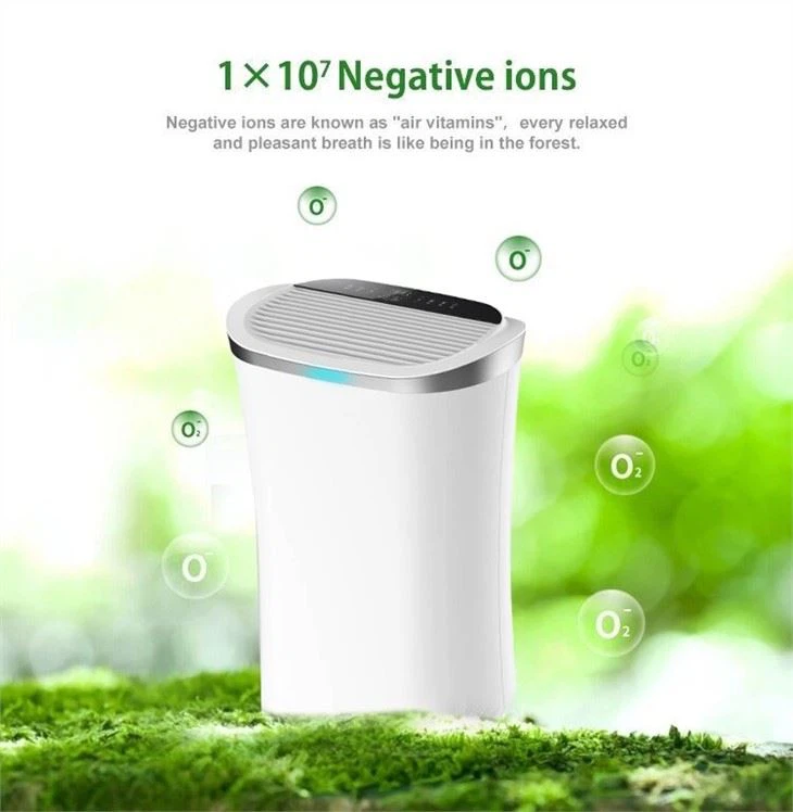 Wifi House Room Tuya Air Purification System True Hepa Filter