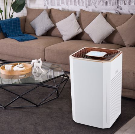 Multi-functional Air Purifier With DC Motor